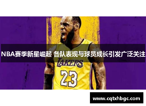 NBA赛季新星崛起 各队表现与球员成长引发广泛关注